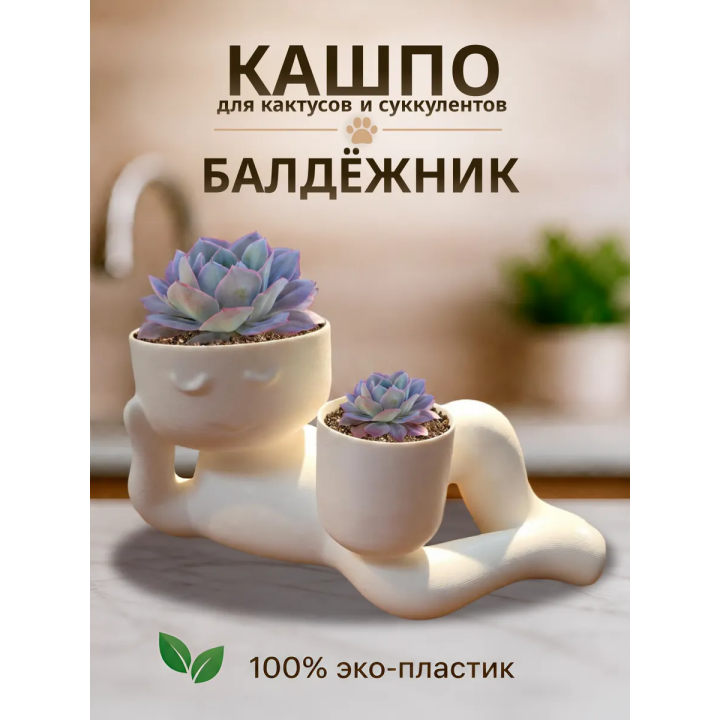 кашпо для кактусов и суккулентов 2