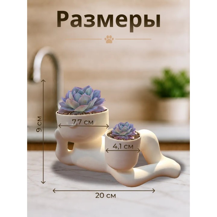 кашпо для кактусов и суккулентов 2