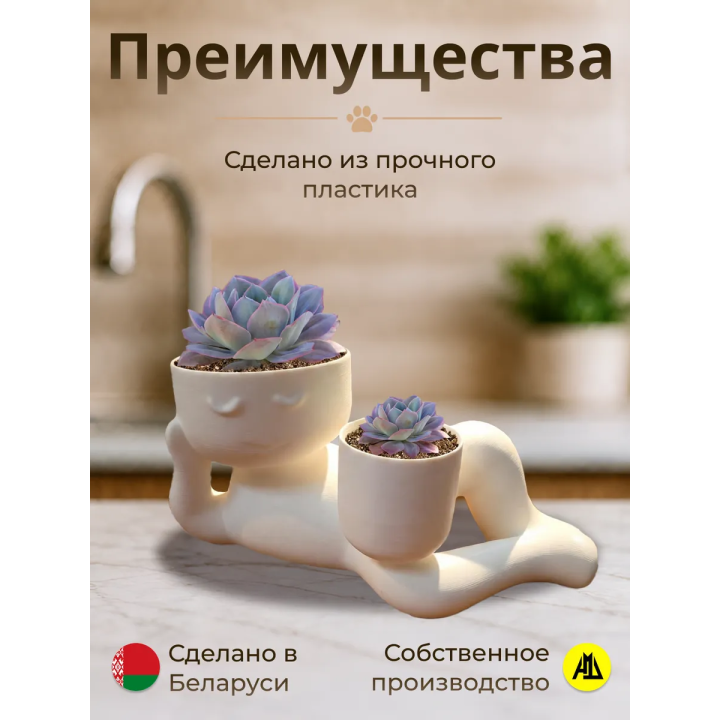 кашпо для кактусов и суккулентов 2