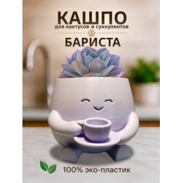 Кашпо для кактусов и суккулентов 1