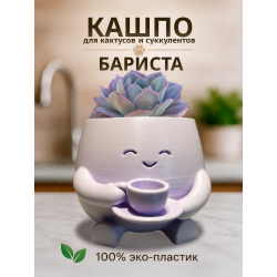 Кашпо для кактусов и суккулентов 1