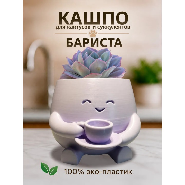 Кашпо для кактусов и суккулентов 1