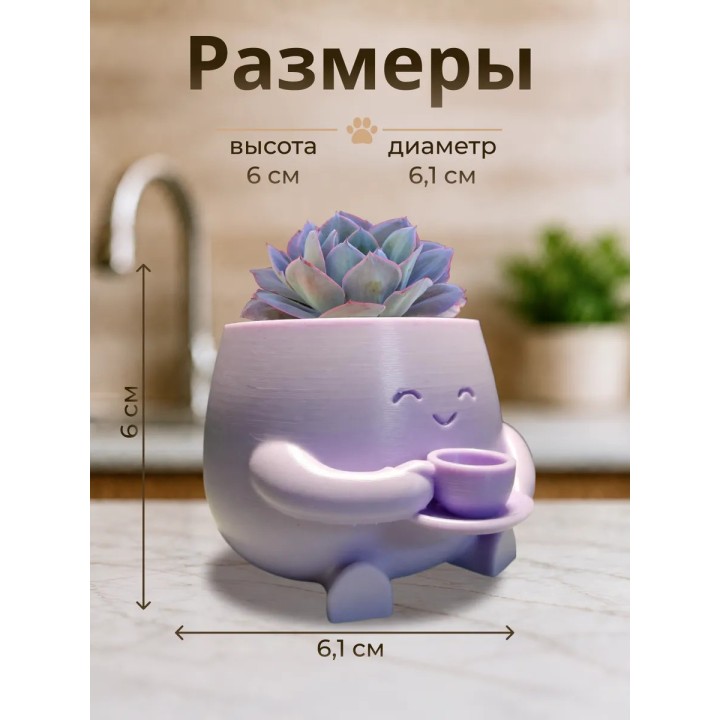 Кашпо для кактусов и суккулентов 1