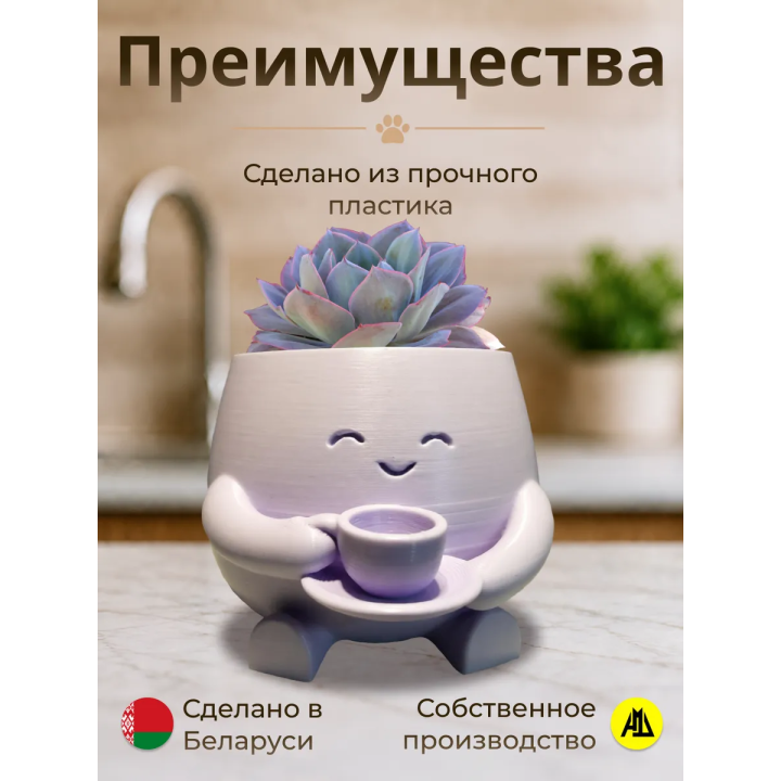 Кашпо для кактусов и суккулентов 1