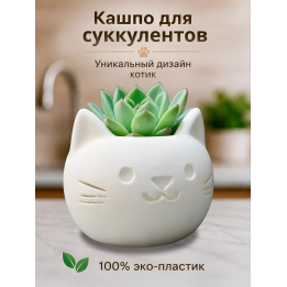Кашпо для суккулентов котик