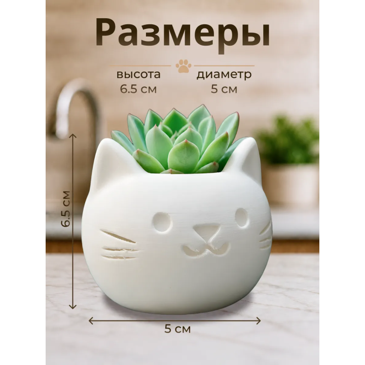 Кашпо для суккулентов котик