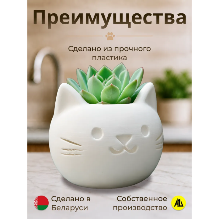 Кашпо для суккулентов котик
