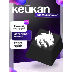 Кейкап тимспирит team spirit