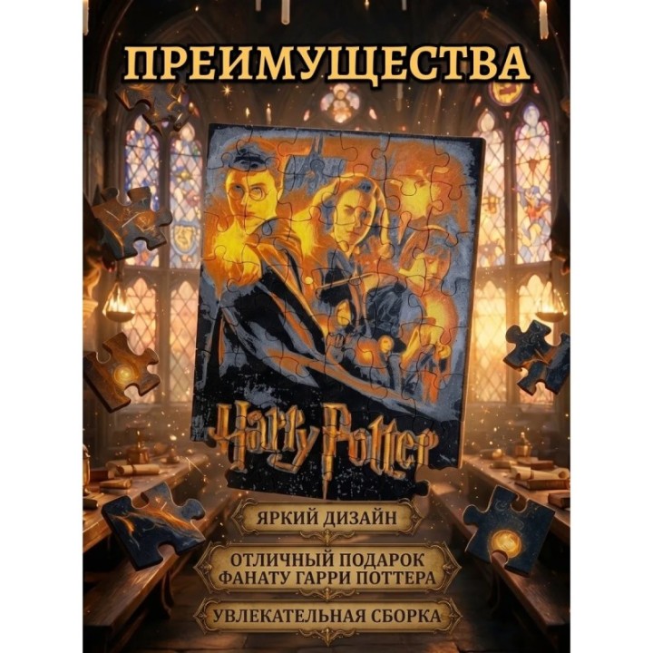 Купить пазл гарри поттер ASDAMATOYS